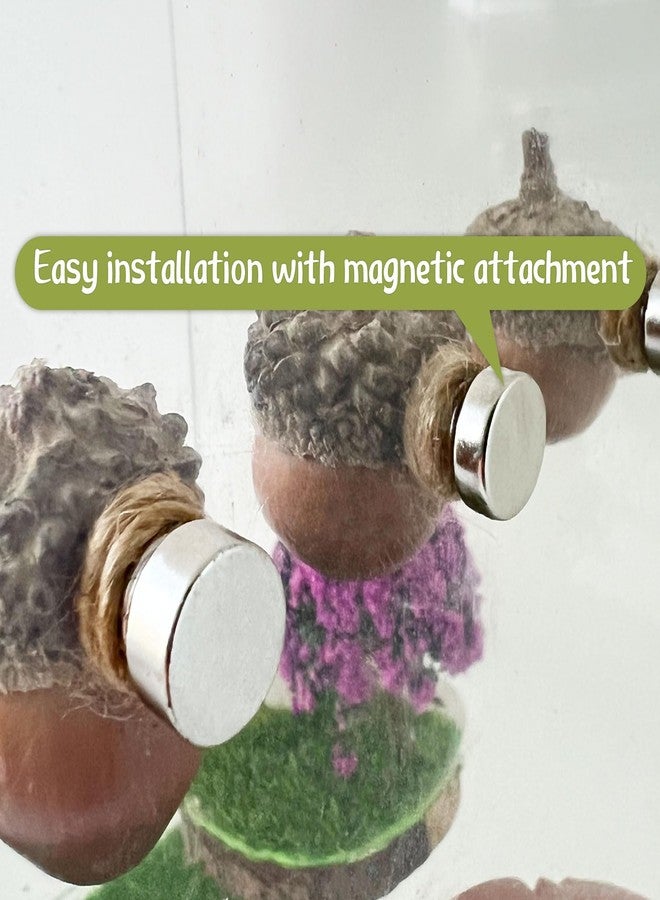 Daerky Jumping Spider Hide,Jumping Spider Hideaway Made from Real Acorns |,Handmade Magnetic Spider Cave, Ideal Habitat Accessory for Small Animals,Natural Decoration for Enclosure .3 Pack (Round Acorn) - Image 2